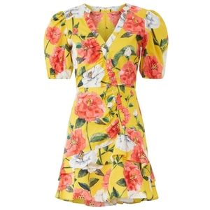 🧺 Parker Minna Floral Mini Dress, Sz 10